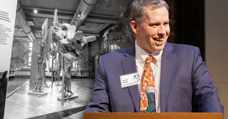 Peabody Museum Director Skelly Announces Year-long Research Leave