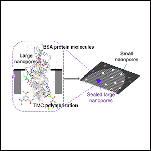 Innovative Solutions: Vanderbilt Researchers Create Self-Sealing Dialysis Membranes with Proteins