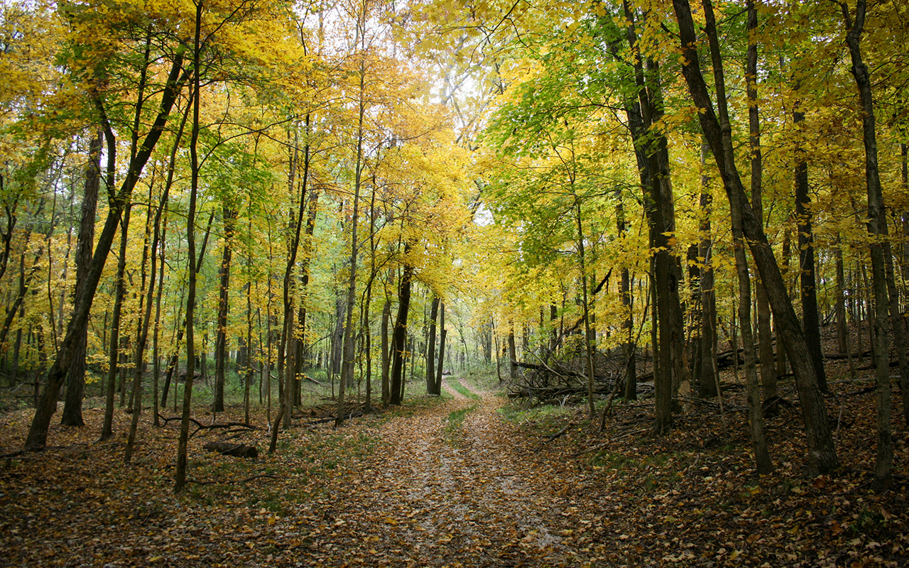 Innovative Minds Unite: Join Us for Environmental Research and Creativity Week!