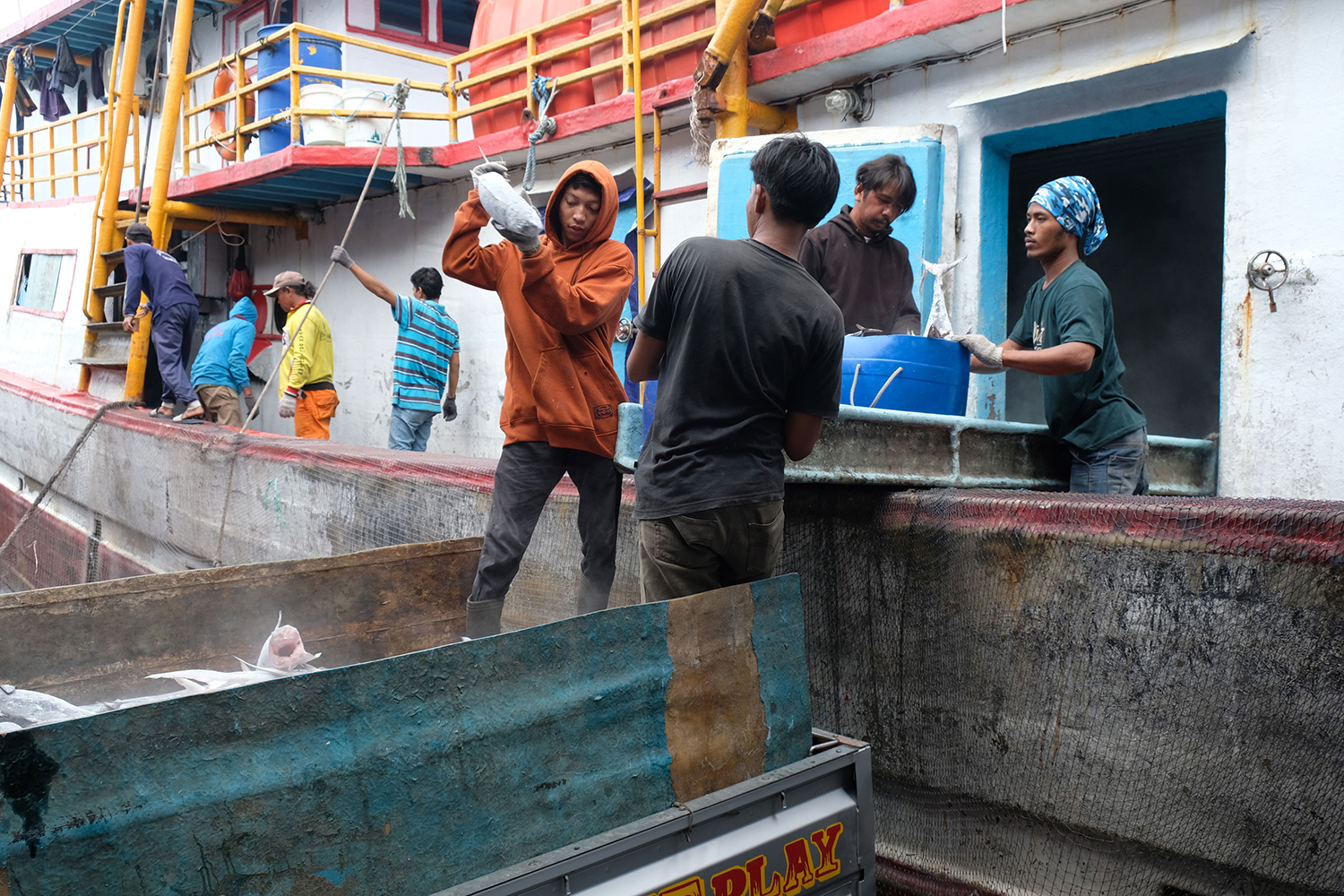 Harnessing Ocean Resources: The Blue Food Initiative for Global Nourishment