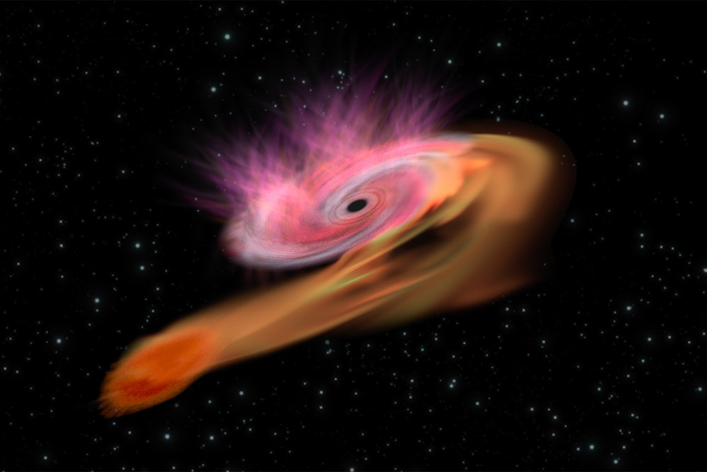 Unveiling the Cosmos: The Enigmatic Burst of Gamma Rays or a Jetted Tidal Disruption?