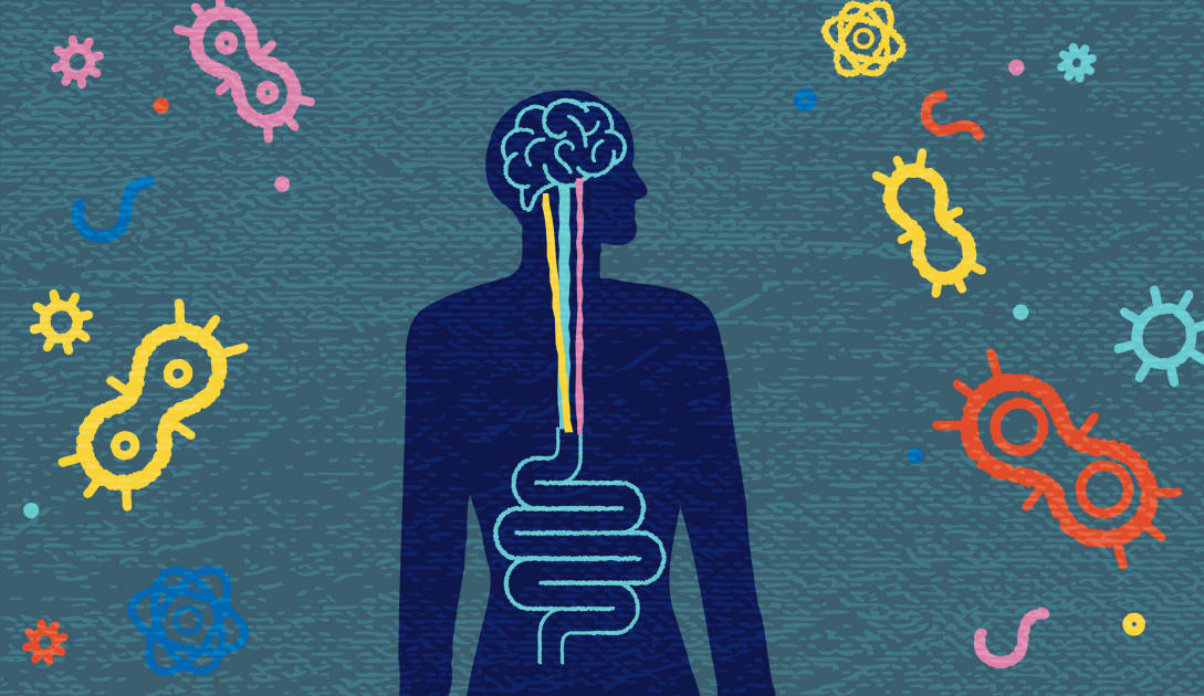 Revealing the Connection: How Gut Microbiome Alterations Relate to Multiple Sclerosis