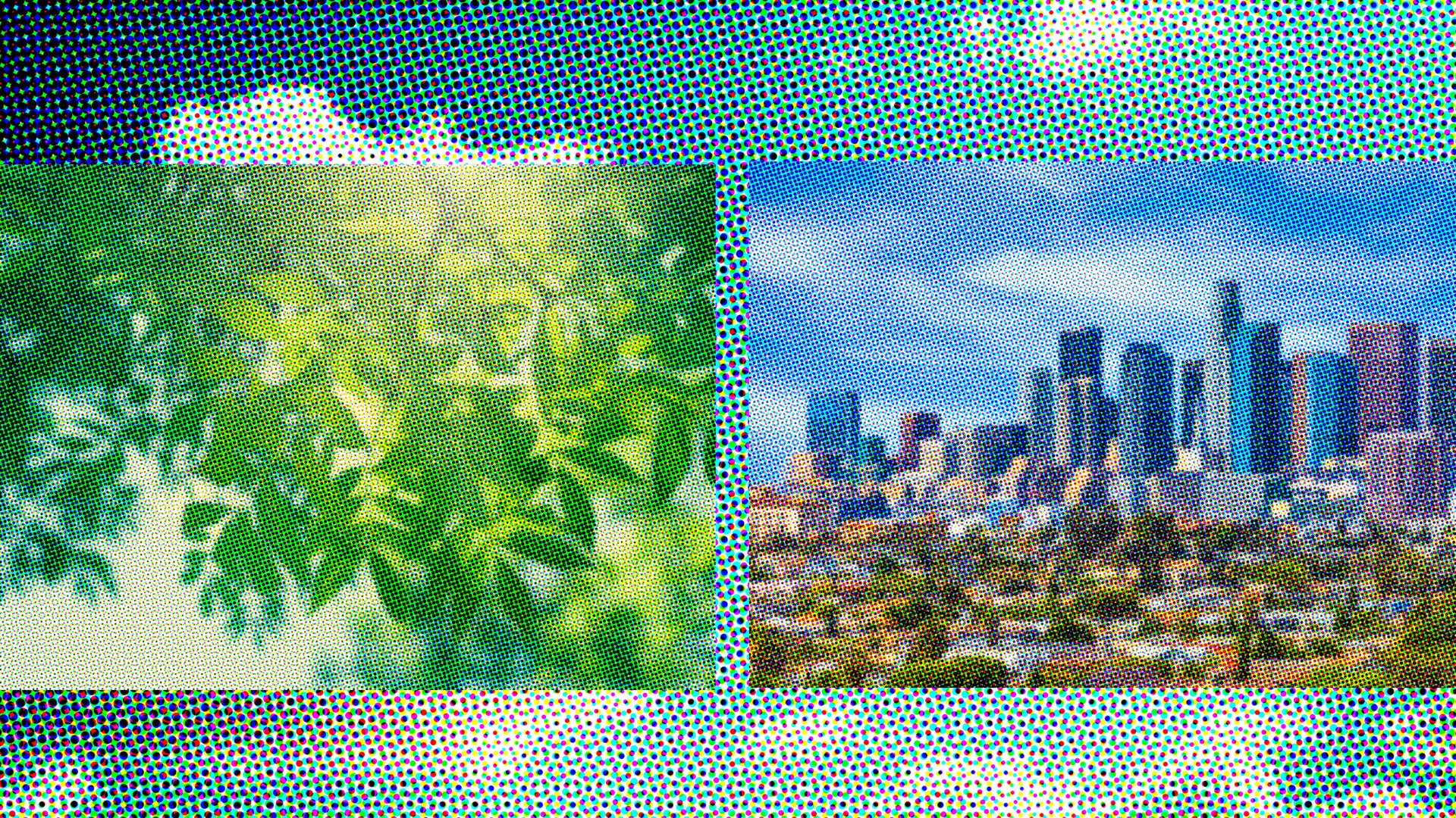 L.A. Urban Forest: A Surprising Carbon Sink Unveiled by USC Dornsife Research