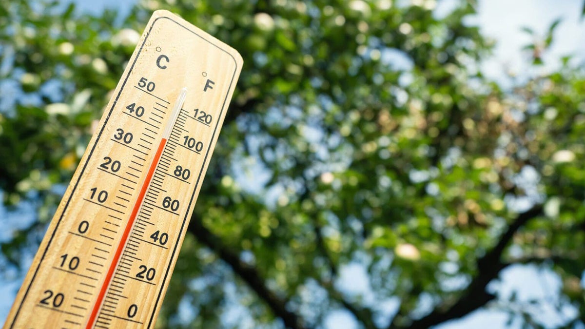 Sweltering Temperatures Could Accelerate Aging in Seniors