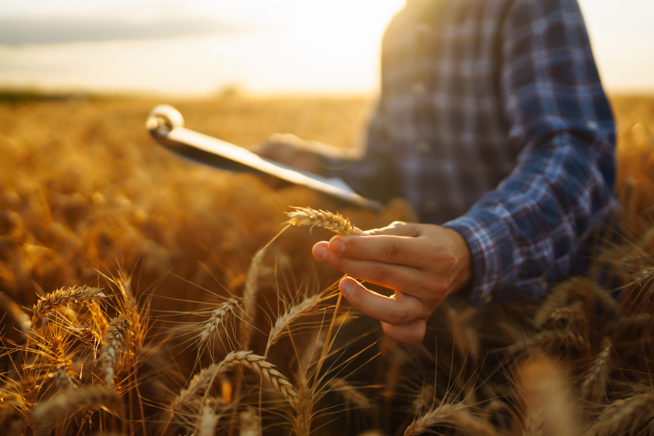 WashU Introduces FARM Initiative to Revolutionize Food Systems