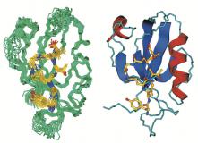 Breakthrough in Angelman Syndrome Research: Promising Mouse Study Results