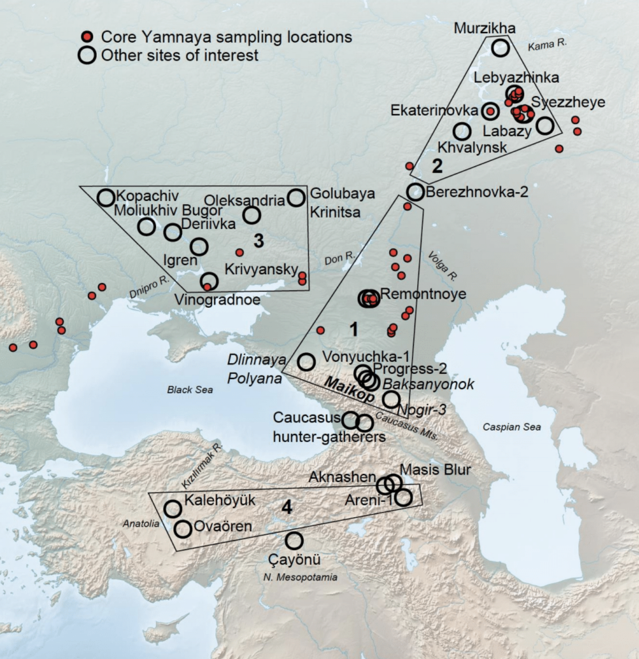 Tracing the Roots of Indo-European Languages: A Journey Through History and Culture