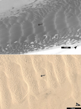 The upper image displays compound dunes on Mars at Chasma Boreale (NASA/JPL/University of Arizona, Image K01_053751_2627_XN_82N044W), while the lower image showcases similar structures on Earth at the Algodones Dunes, California (Image from Google Earth). Black arrows denote the inferred wind direction in both landscapes.