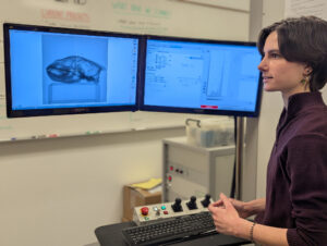 U-M MicroCT Lab Commemorates Achievement with Wolverine Skull Scanning