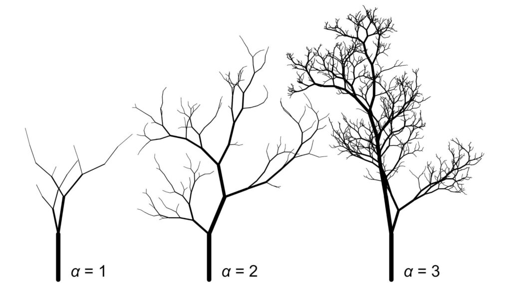 A collection of monochrome visuals illustrates trees created by a computer with three distinct branch thickness scaling factors, indicated by the Greek letter alpha. When alpha equals one, the illustration resembles a small branch with a few smaller offshoots. With alpha at two, the representation appears much more like a tree in autumn—taller and fuller with increased branches. In the alpha equals three scenario, the fullness is even greater.