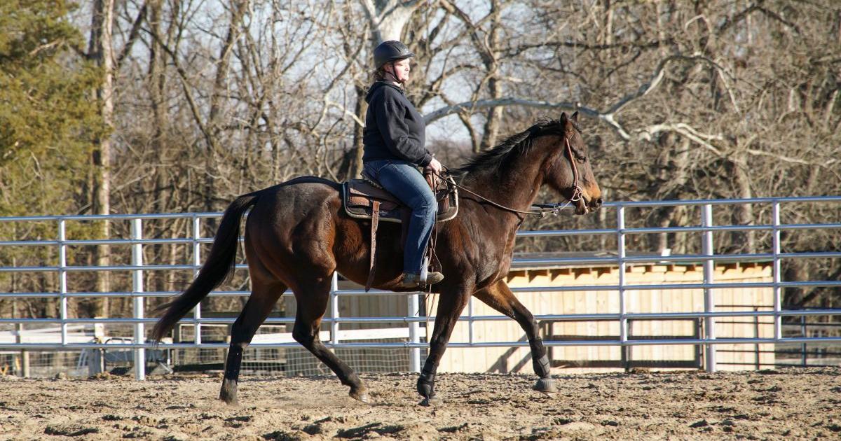 Finding community and camaraderie: Martin-Gatton CAFE student founds UK Ranch Horse Team