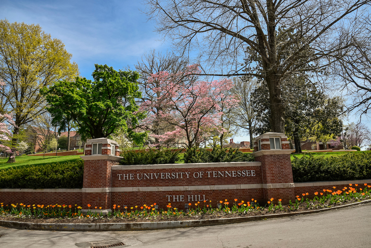 Top Graduate Programs Set to Shine Nationally