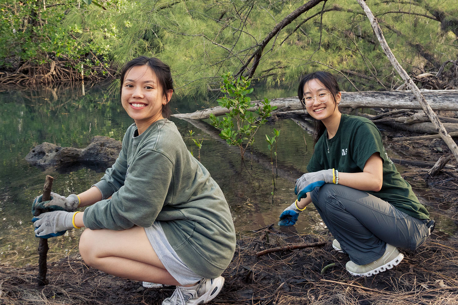 Revamping Spring Break: A Student-Centric Initiative Emphasizing Volunteerism