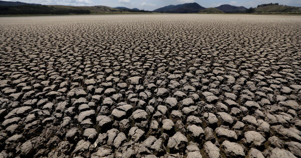 Are Businesses Turning Their Backs on Climate Initiatives?