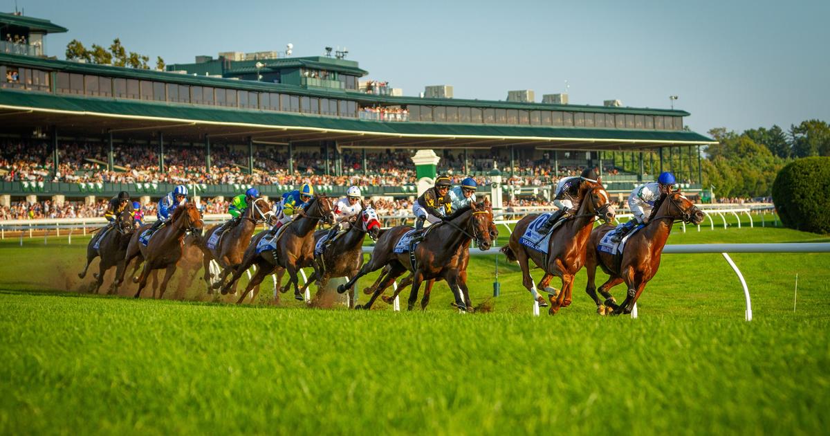 Unleashing horsepower: The genetic secret behind equine stamina