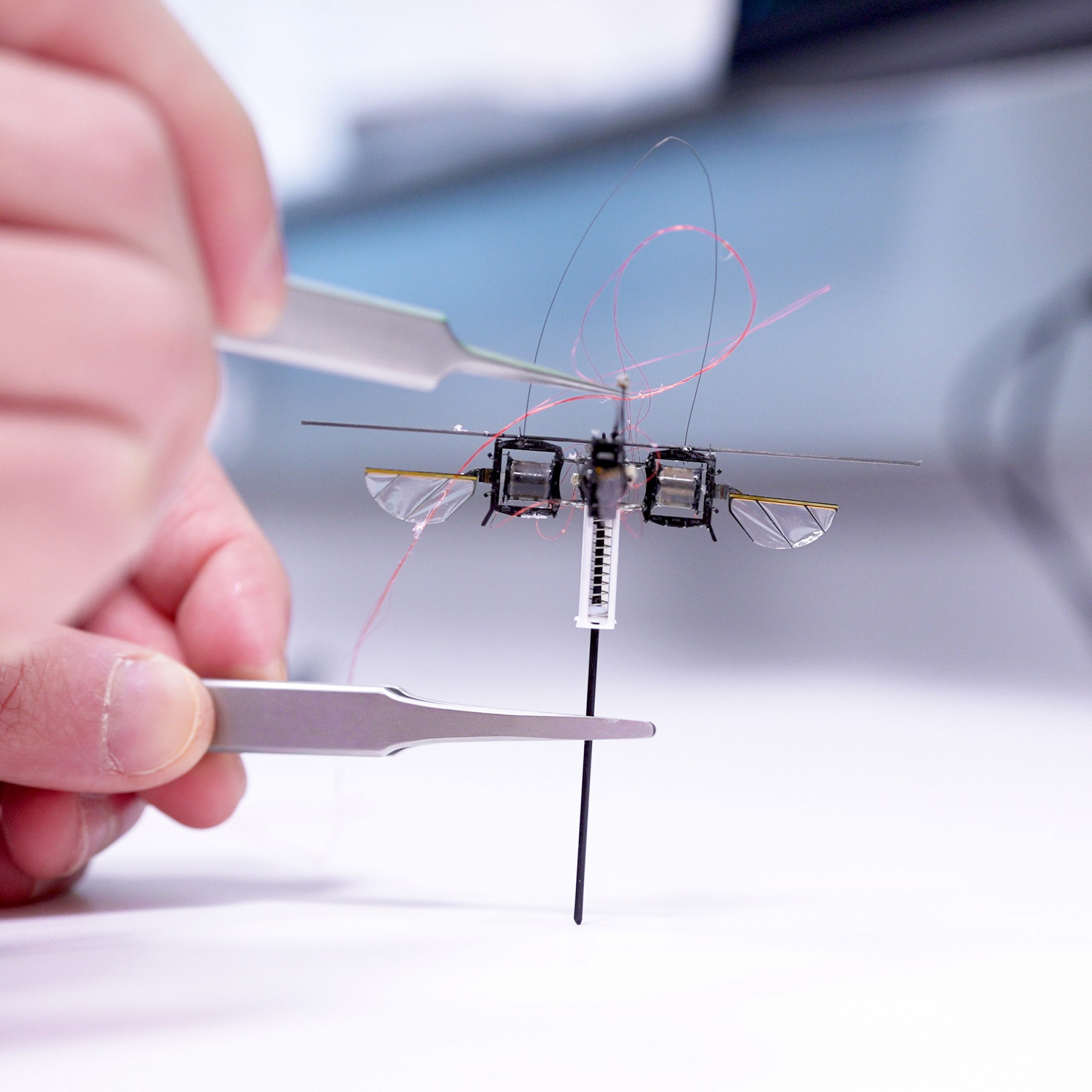 Bouncing into the Future: The Rise of the Miniature Hopping Robot