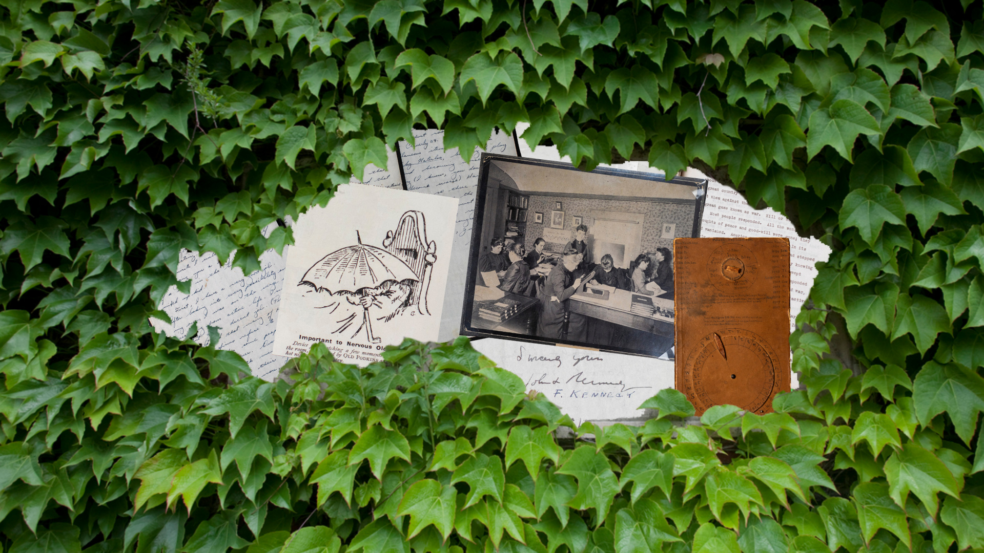 Treasured Discoveries: Harvard Archivists Share Their Most Fascinating Finds
