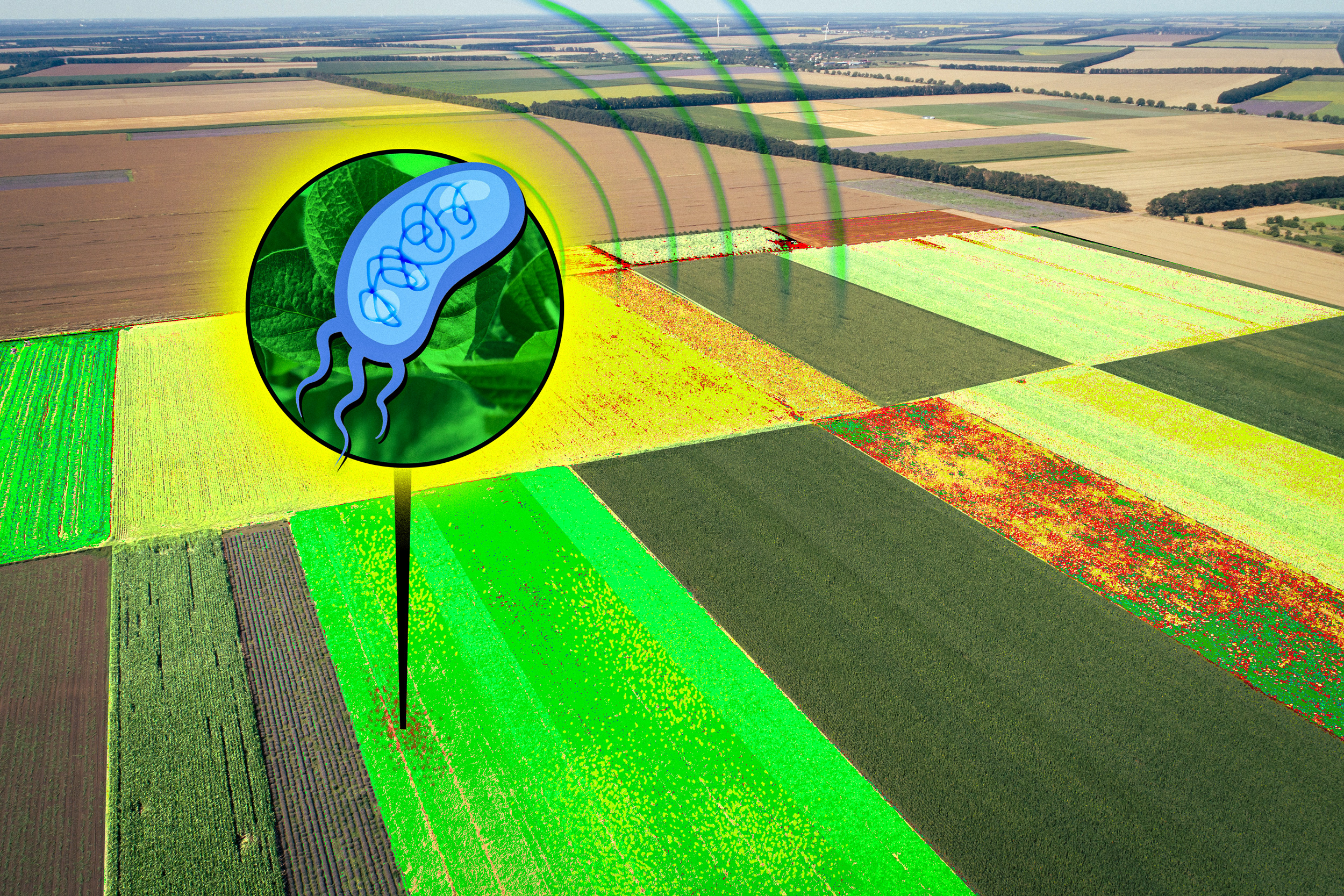 Bacteria with a New Twist: Engineered Microbes that Broadcast Distinct Signals from Afar