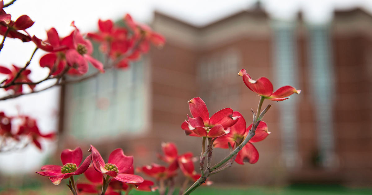 Celebrate Student Employee Appreciation Week, April 14-18
