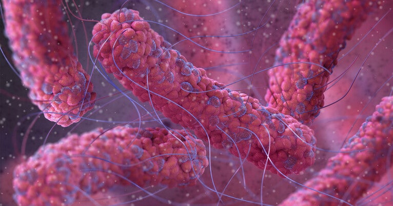 Surviving the Odds: How Pathogens Master Life in Unwelcoming Conditions
