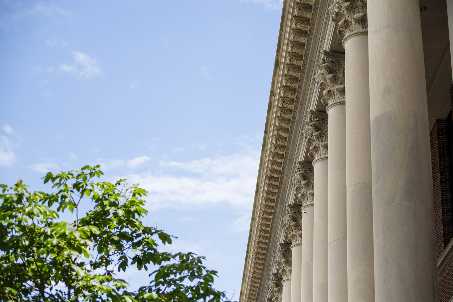 The Commitment to Excellence in American Higher Education