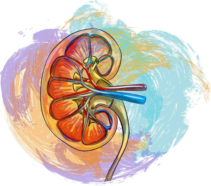 Revolutionizing Our Approach to Acute Kidney Injury: New Insights and Innovations in Treatment