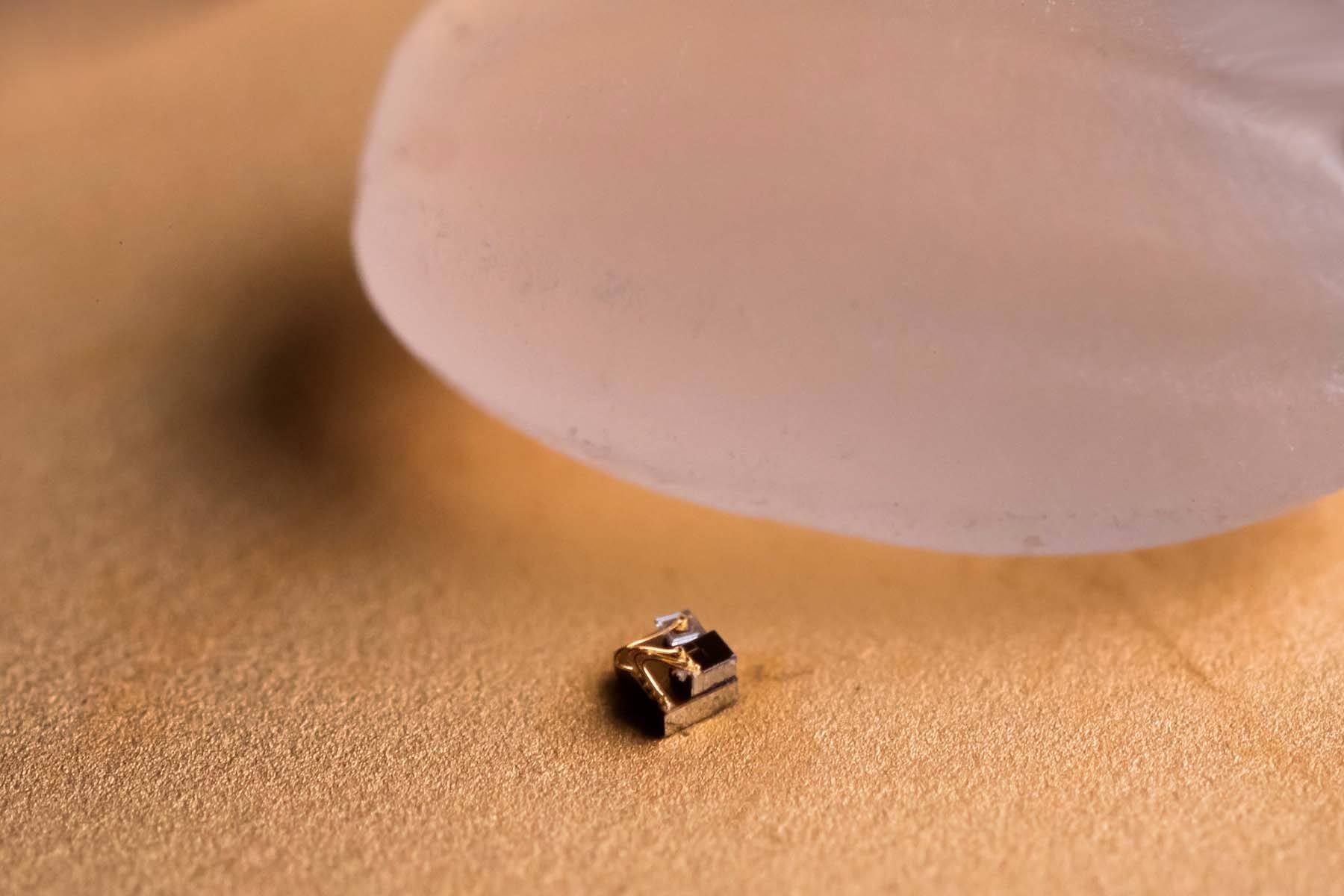 Revolutionary $19 Million Investment in Brain Implants Aims to Restore Speech for Stroke Survivors at U-M