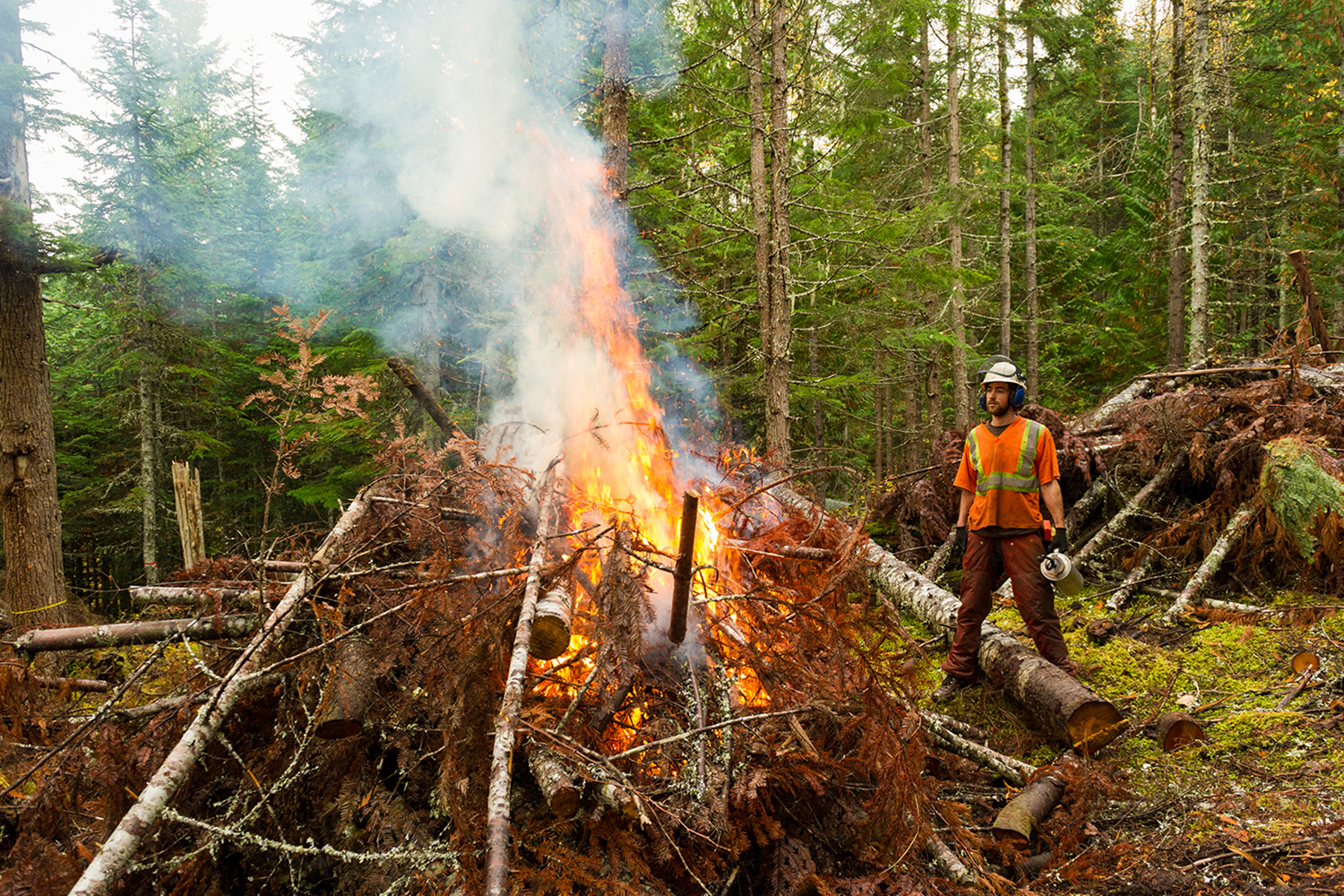 Groundbreaking Research Unveils Strategies for Safer and Cleaner Prescribed Wildfires