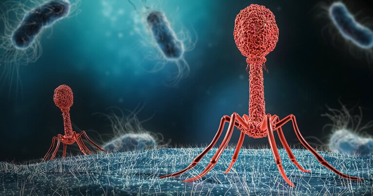 Revolutionary Tool Unlocks Secrets of Virus-Cell Interactions