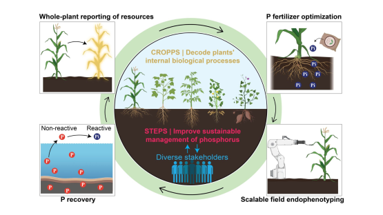 Harvesting Innovation: How Scientific Partnerships Are Revolutionizing Agriculture