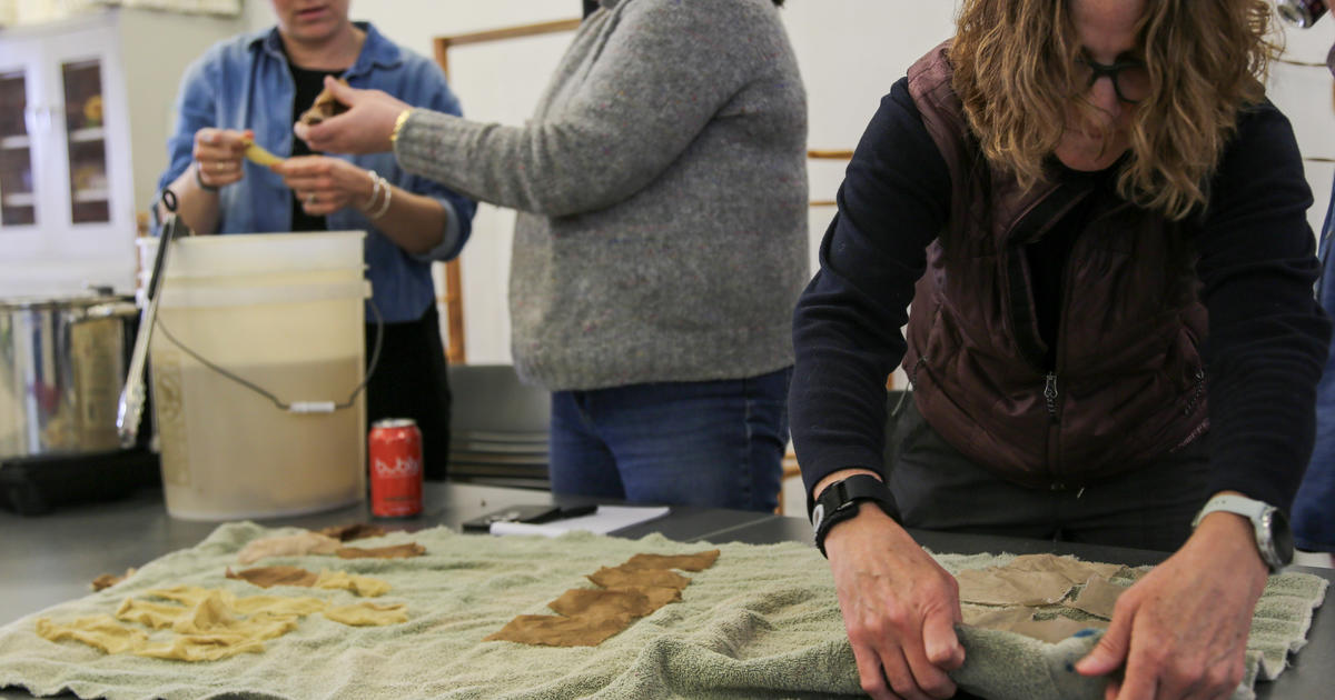 Step inside the creative research process with ‘Inside the Lab’ event series