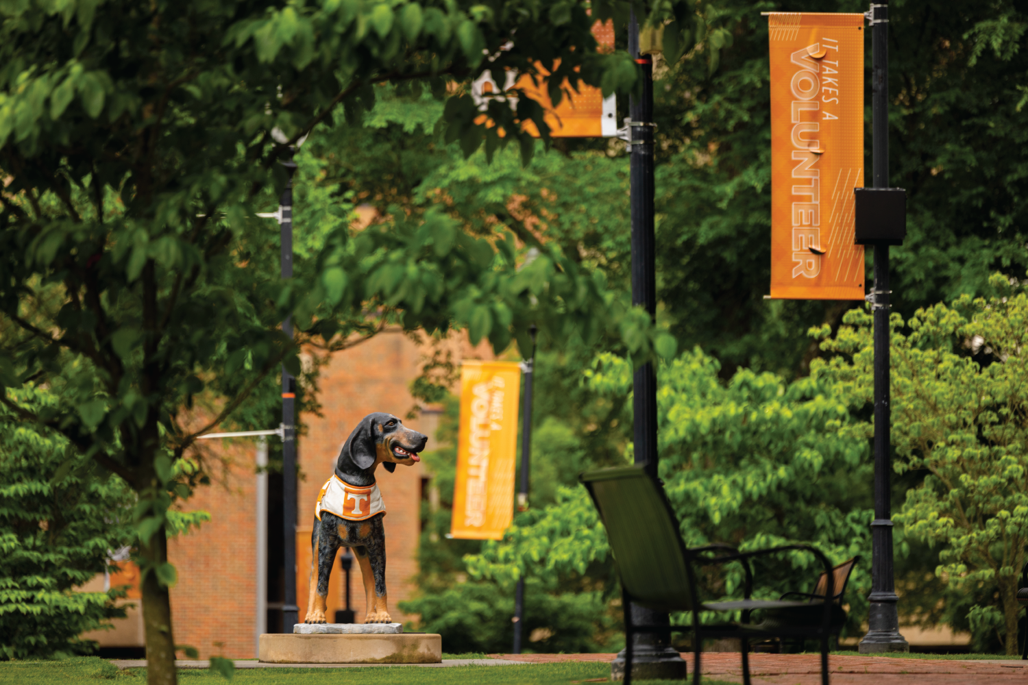 Triumphant Trio: Two Scholars and an Alumnus Secure 2025 NSF Graduate Research Fellowships