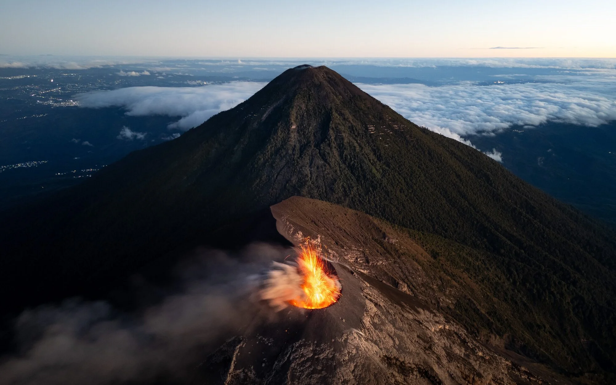 Unveiling Life’s Intricacies: The Doerr Photo Contest