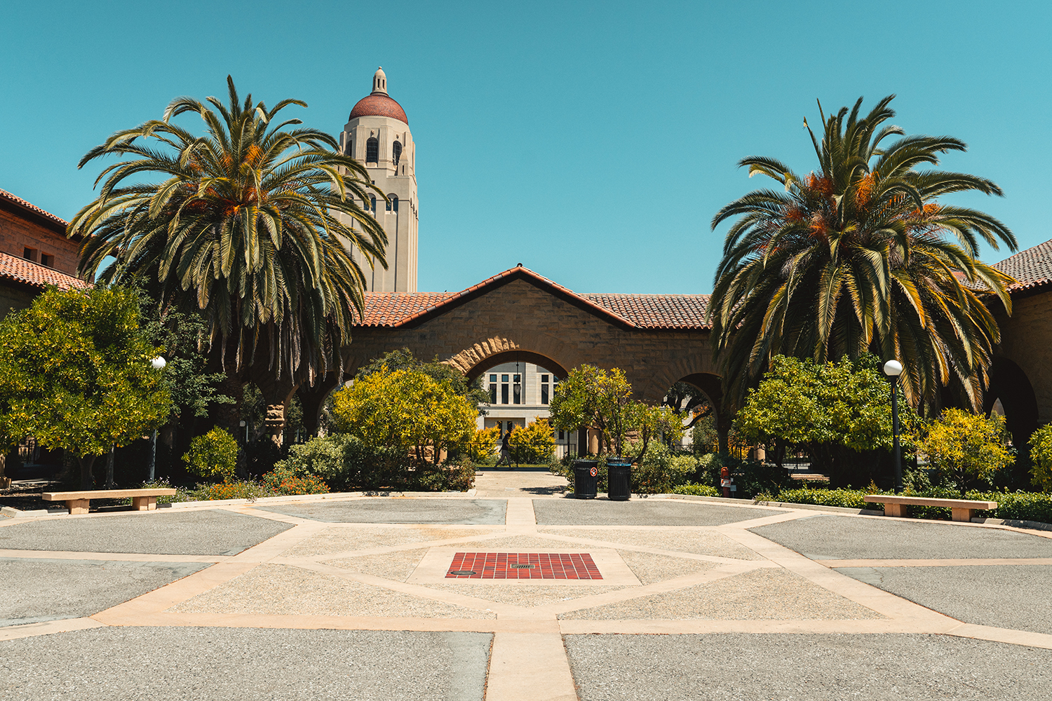 Stanford Scholars Inducted into National Academy of Sciences