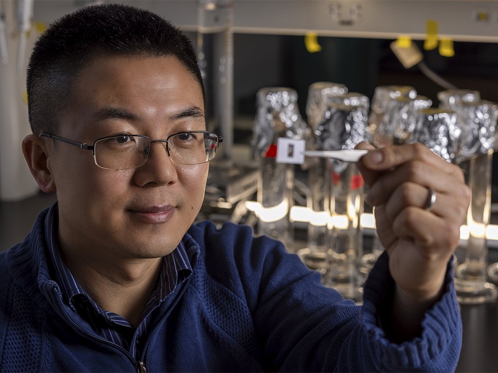 Fuzhong Zhang is the Francis F. Ahmann Professor in the Department of Energy, Environmental & Chemical Engineering. (Photo: Joe Angeles/WashU)
