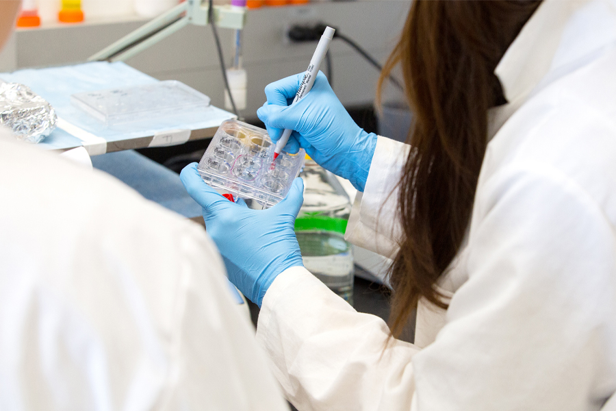 Researchers engaged in work at the Dittmer Chemistry Lab. (Bill Lax/FSU Photography Services)