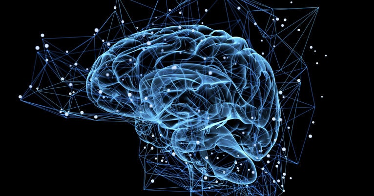 Navigating Neural Highways: The Role of Molecular Traffic Officers in Brain Development