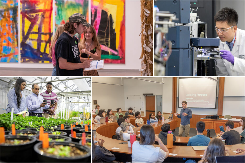 WashU Initiates Campaign to Tackle Worldwide Issues