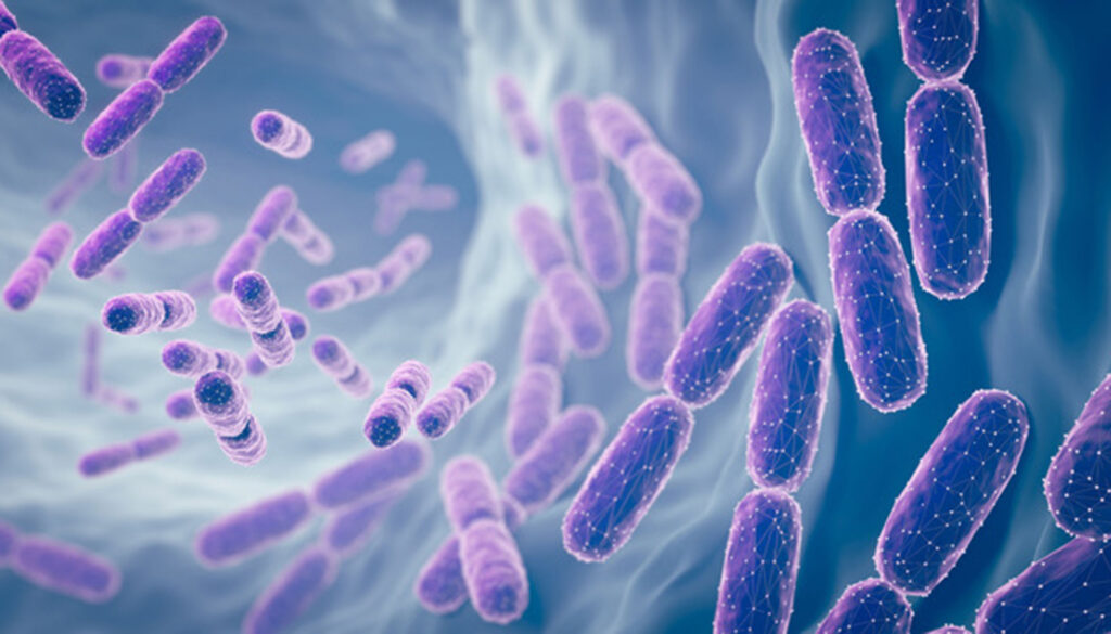 Unveiling the Hidden World of Gut Microbes: Insights from UC Berkeley Research