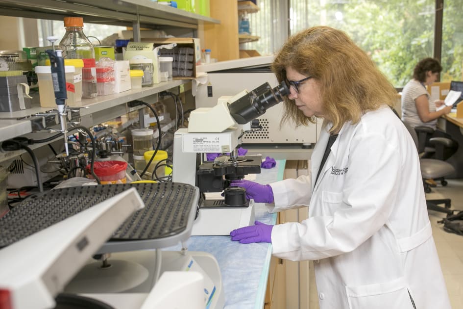 Navigating the Delicate Balance of Cancer Treatment: Weighing Benefits Against Risks