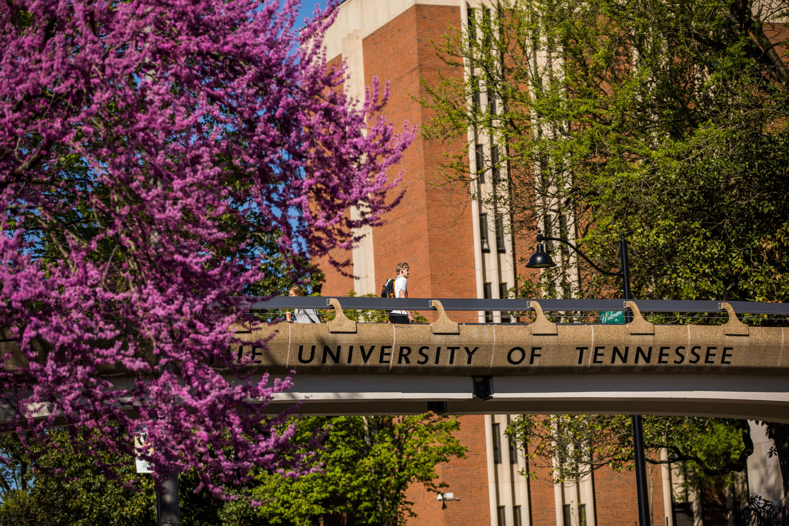 UT Knoxville Plans to Keep Tuition Steady for Fall 2025
