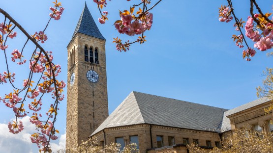 Cornell Center for Social Sciences Offers Grants and Seeks Fresh Proposals