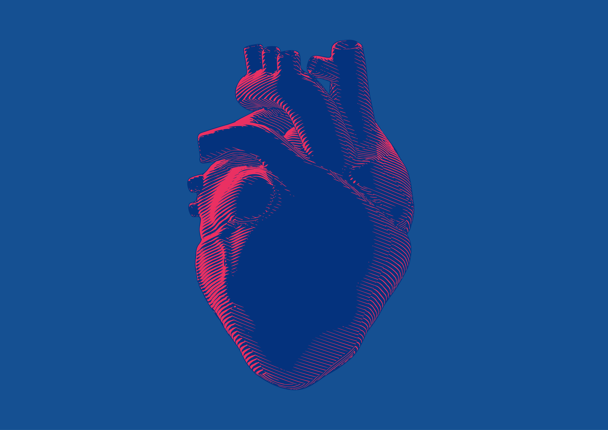Breakthrough Strategy Emerges for Combatting Cardiovascular Fibrosis