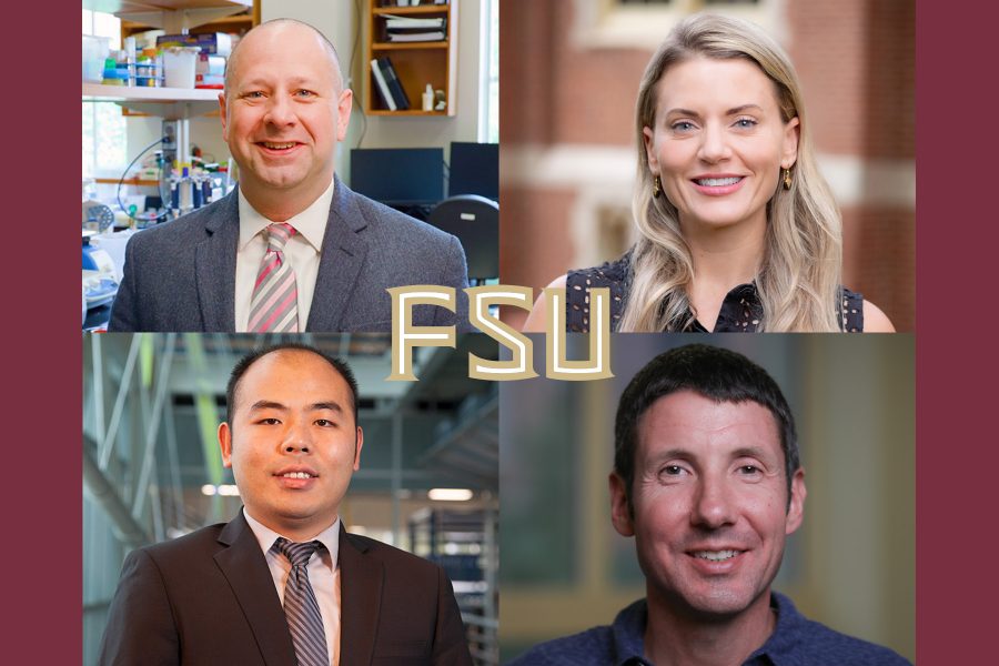 FSU Honors Faculty Excellence with Distinguished Developing Scholar Awards