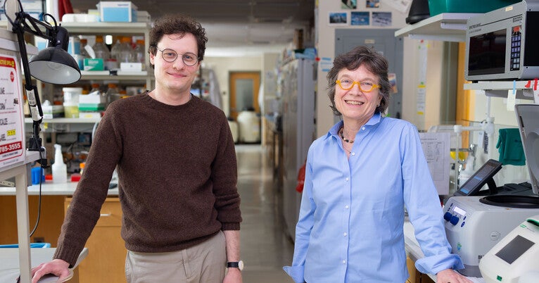 Pioneering Approach at Yale Sheds Light on the Initial Phases of RNA Creation