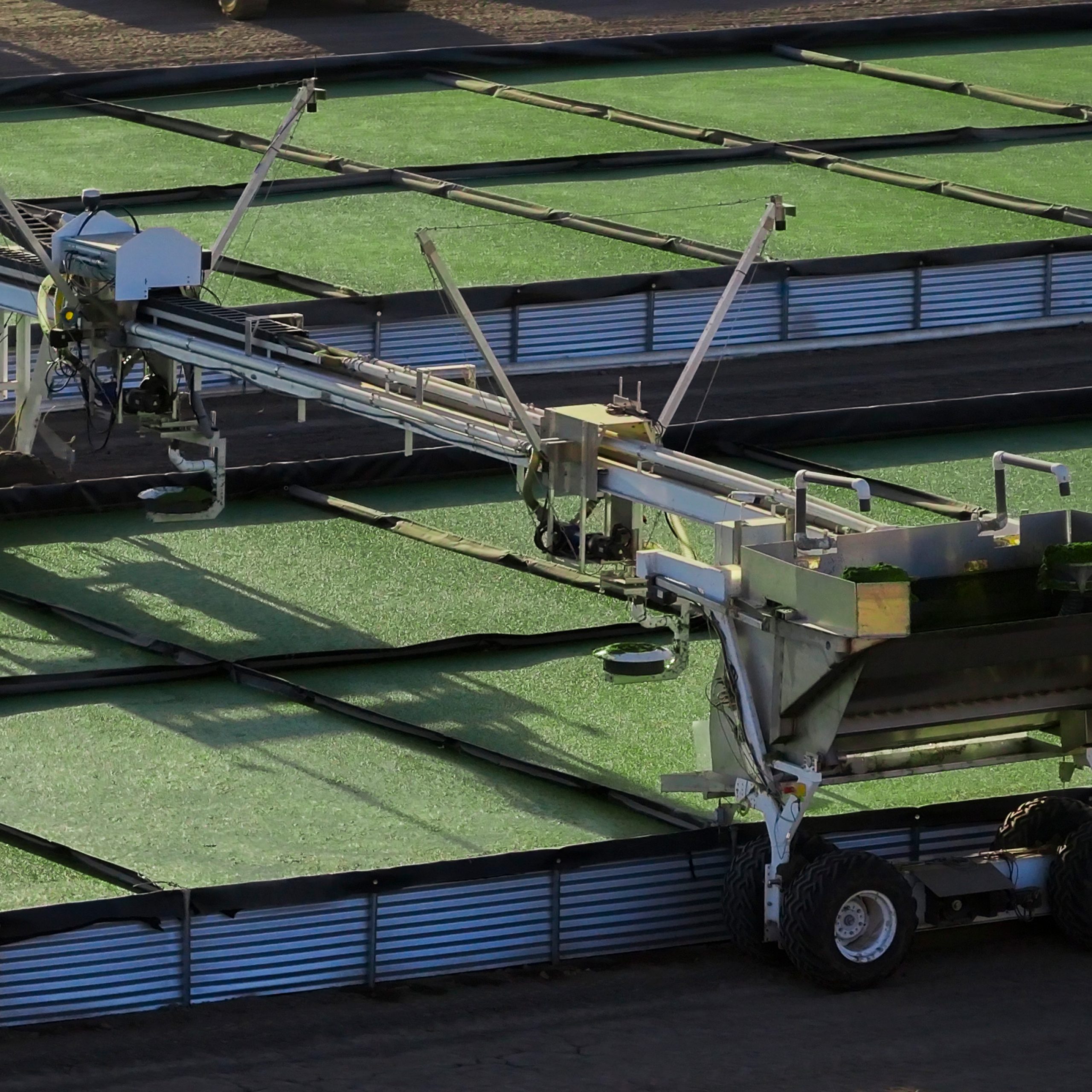 Innovative Startup Transforms Wastewater into Sustainable Plant-Based Feed and Fertilizer for Farmers