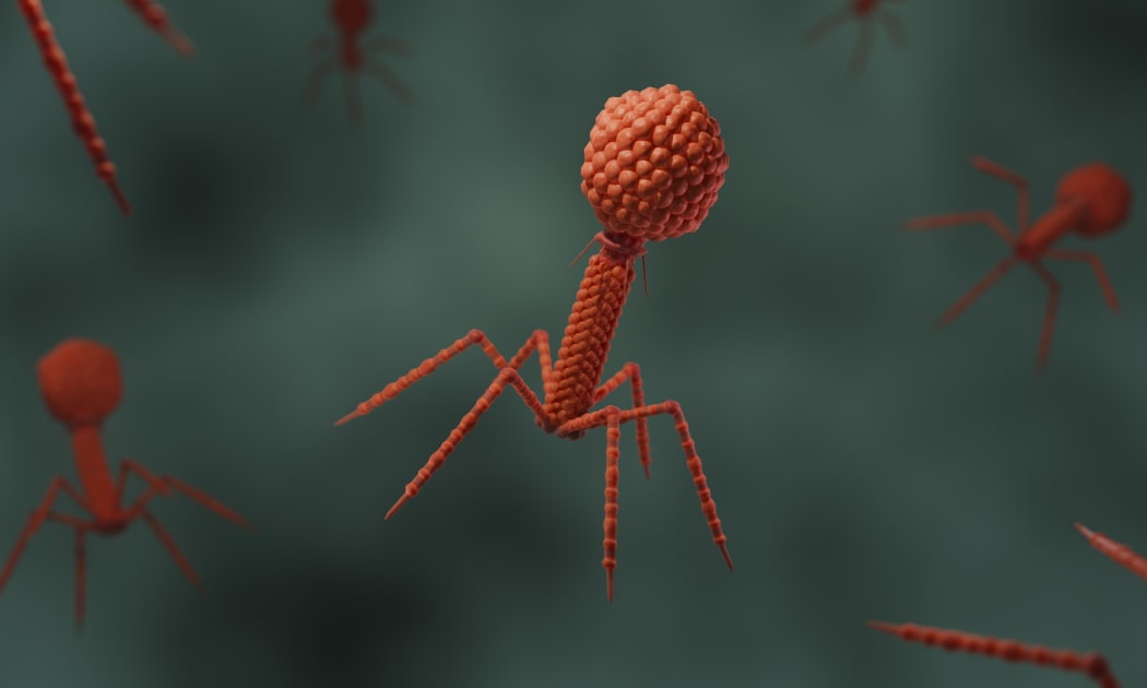 Revolutionary Phage Therapy Shows Promise Against Drug Resistance in Cystic Fibrosis Patients