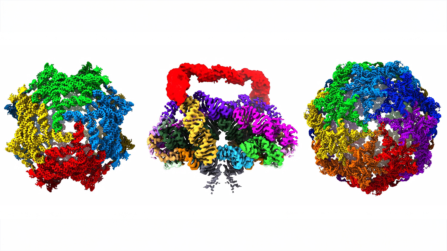 Researchers Unveil Striking RNA Structures Not Bound by Proteins