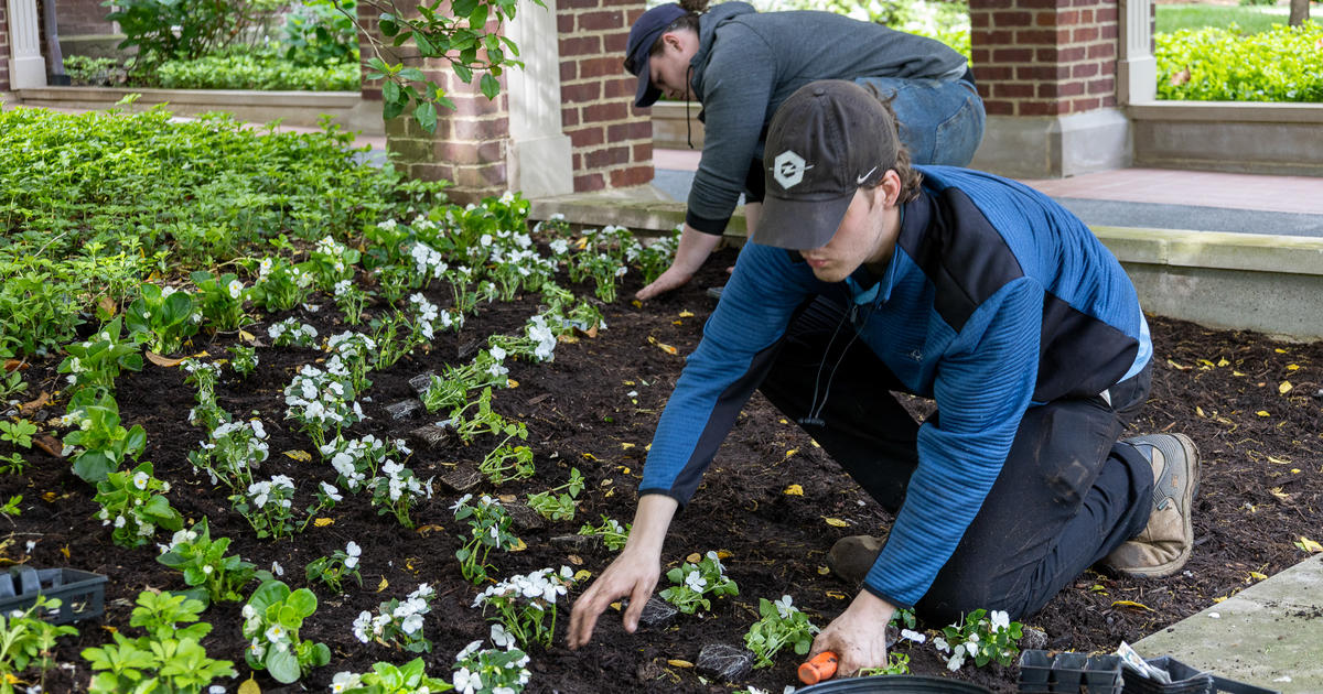 Spring preparations in full bloom at the University of Kentucky