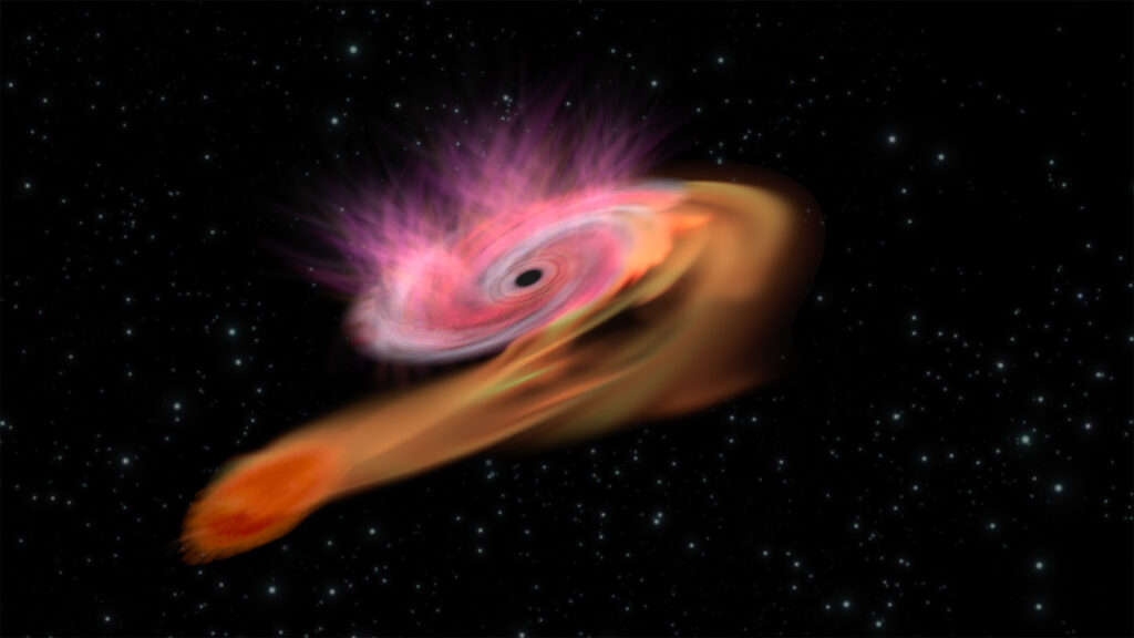 Twin Titans of Darkness: Dual Black Holes Devouring a Distant Galaxy